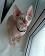 small_photo