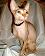 small_photo