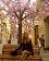 small_photo