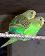 small_photo