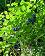 small_photo