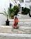 small_photo