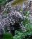 small_photo