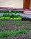 small_photo