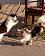 small_photo