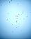 small_photo