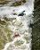 small_photo