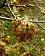 small_photo