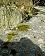 small_photo