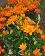 small_photo