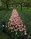 small_photo
