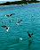 small_photo