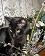 small_photo