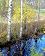 small_photo