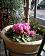 small_photo