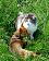 small_photo