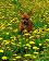 small_photo