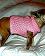 small_photo
