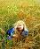 small_photo