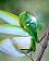 small_photo