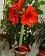 small_photo
