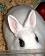 small_photo