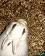 small_photo