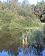 small_photo
