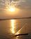 small_photo