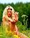 small_photo