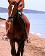 small_photo