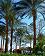 small_photo