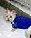 small_photo