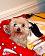 small_photo