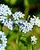 small_photo