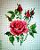 small_photo
