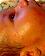 small_photo
