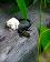 small_photo