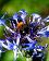 small_photo