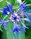 small_photo