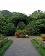 small_photo