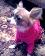small_photo
