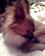 small_photo
