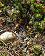 small_photo
