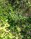 small_photo