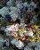 small_photo
