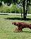 small_photo