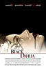 <Black Dahlia>